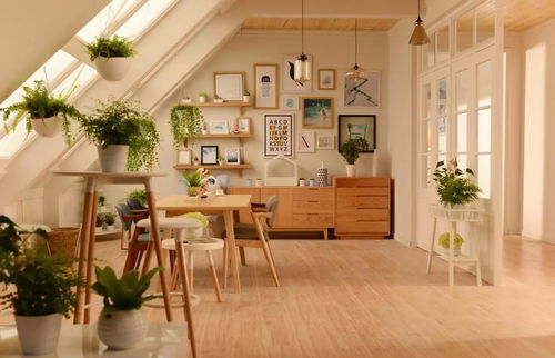 餐廳吊頂的秘訣 情人節無需去飯店，家里已經夠浪漫